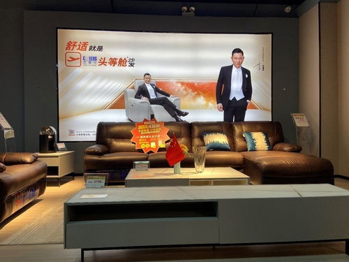 跨界轉(zhuǎn)型的典范 企業(yè)講師兩年內(nèi)成功開(kāi)設(shè)四家零售云家電及芝華仕店鋪